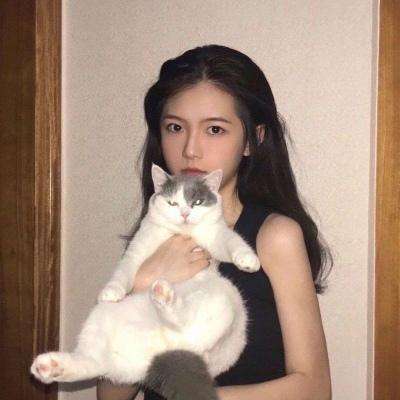 追龙正版手游下载
